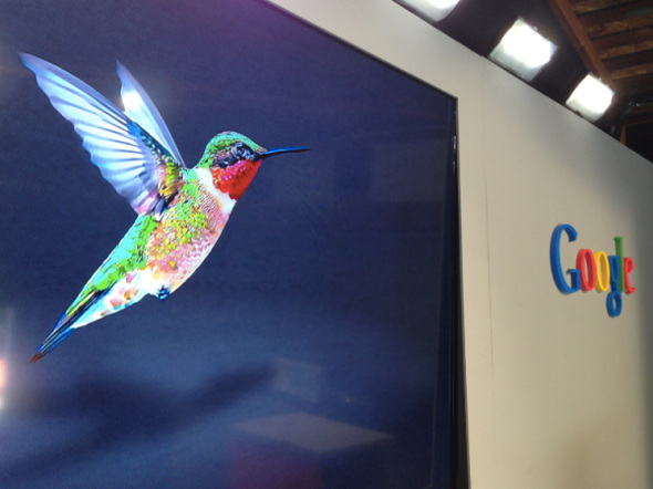 google-hummingbird-main